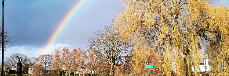 Nieuwland met regenboog